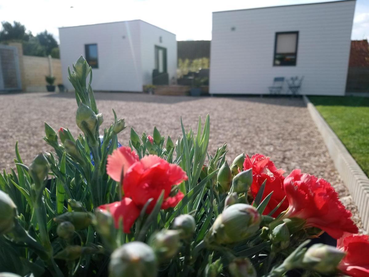 Au Cap Norwoe Bed and Breakfast Saint-Quentin-en-Tourmont Buitenkant foto